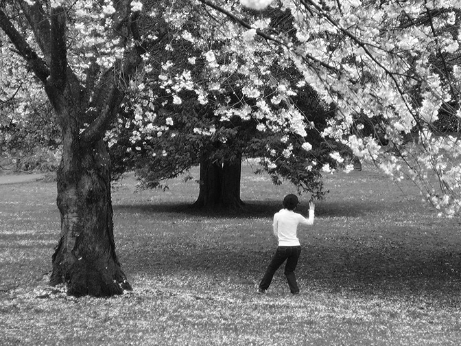 Tai Chi wth Heather Anderson